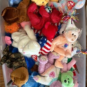 Huge Beanie Babies Collection